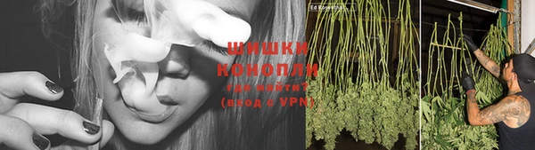 молекула духа Балахна