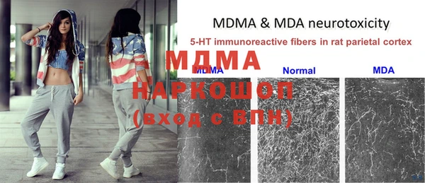 молекула духа Балахна