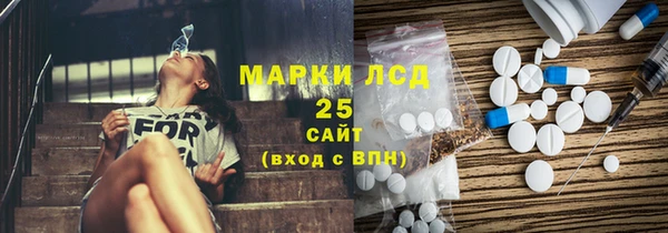 ПСИЛОЦИБИНОВЫЕ ГРИБЫ Балабаново